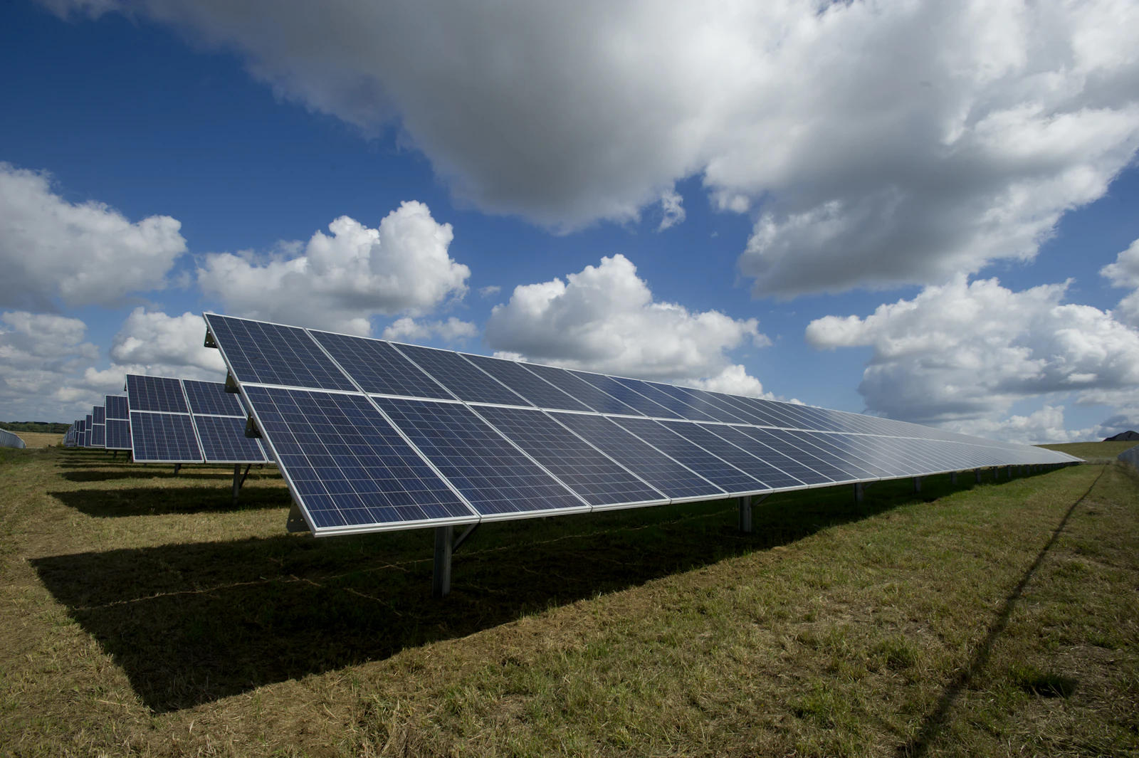 A field of solar panels under a blue sky